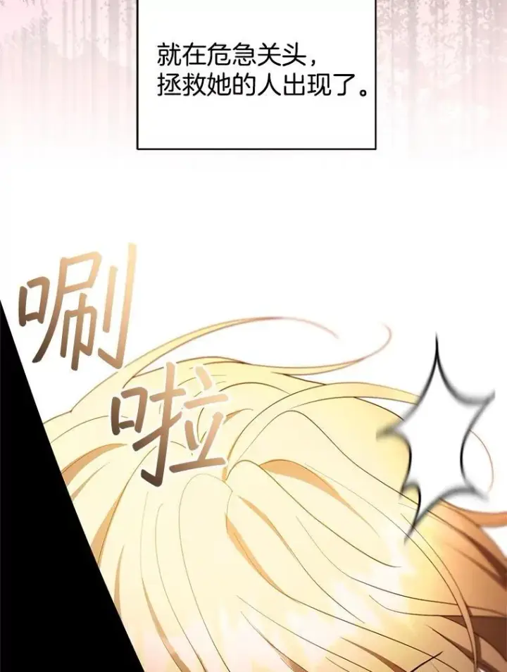 《怀了恶棍的孩子》102.扭转命运图68