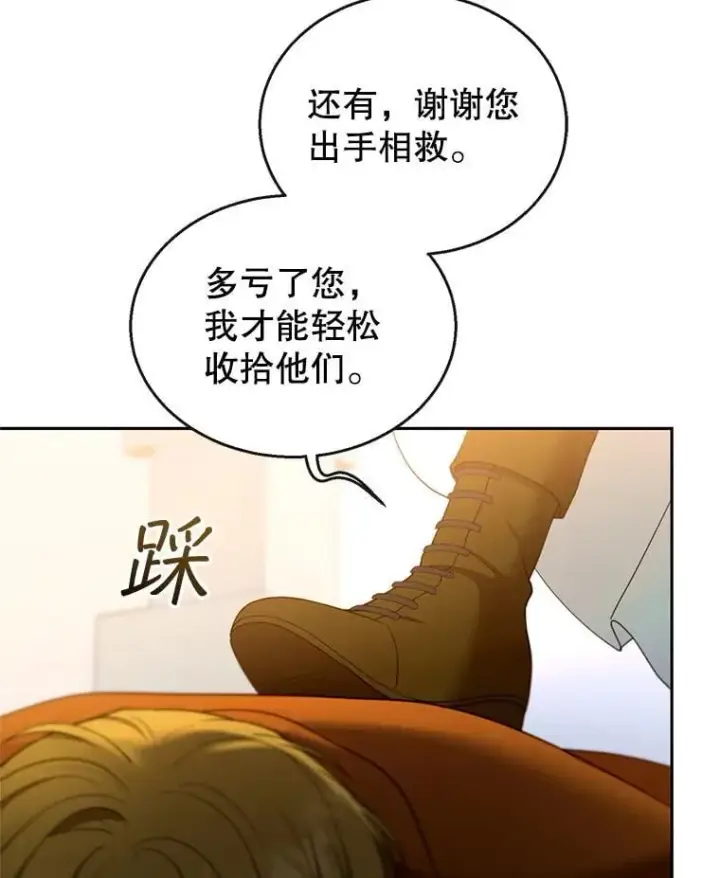 《怀了恶棍的孩子》105.老朋友图20