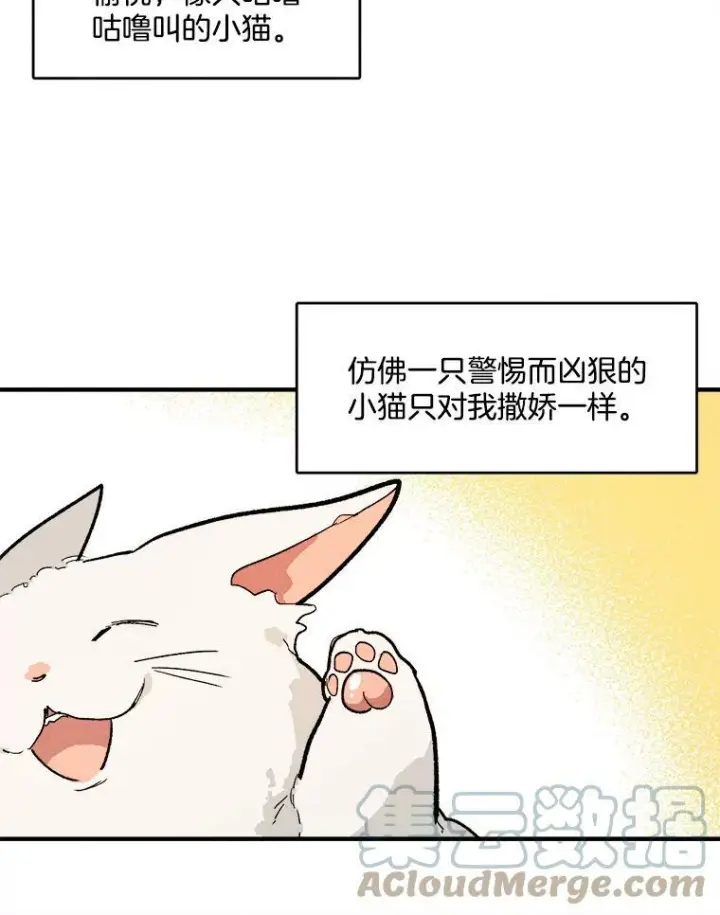 《皇家厨师小姐》11.二哥的提示图76