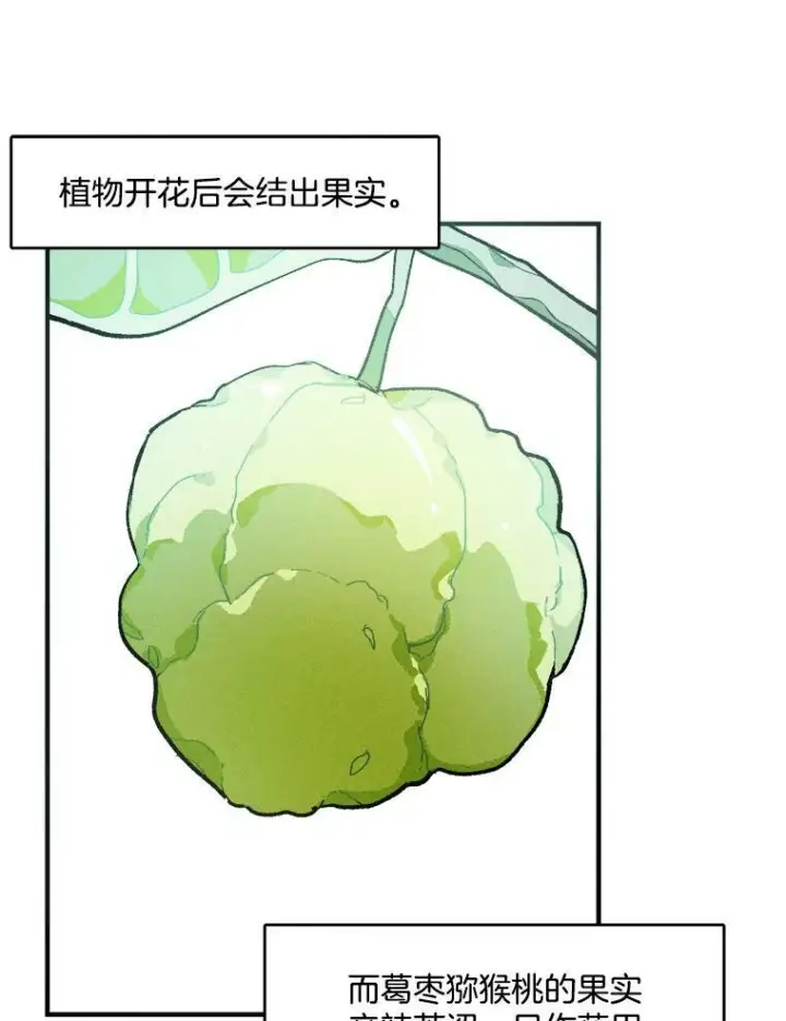 《皇家厨师小姐》12.准继母的心思图63
