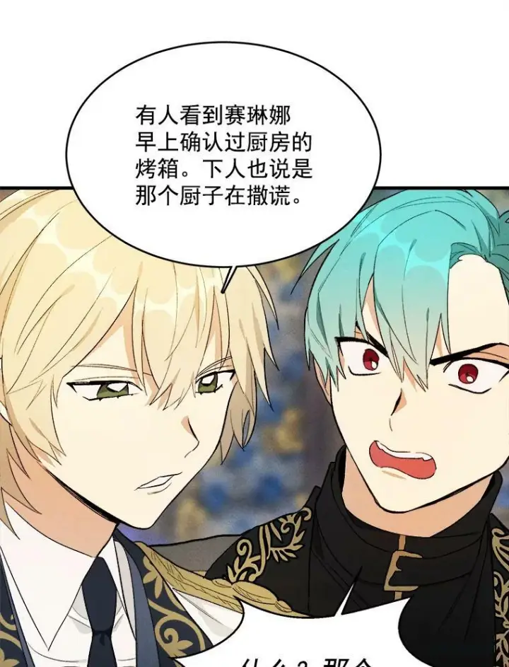 《皇家厨师小姐》28.可爱的家人图45