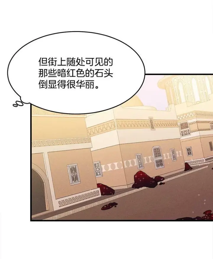 《皇家厨师小姐》32.夜遇皇子图9