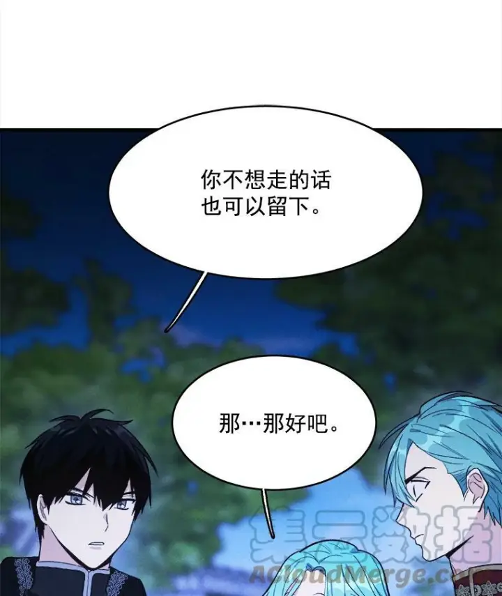 《皇家厨师小姐》32.夜遇皇子图91