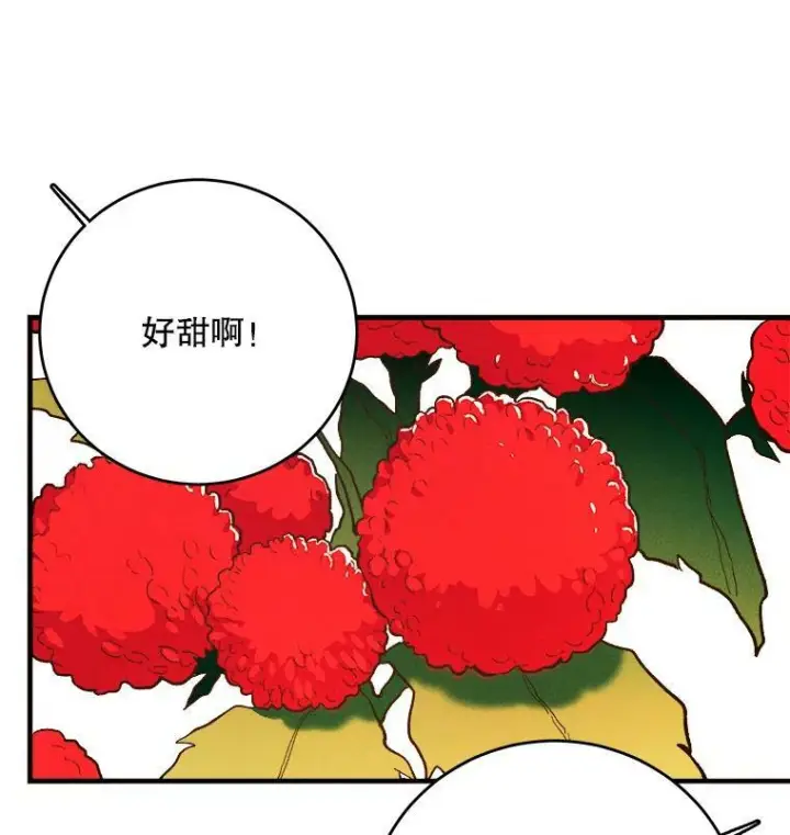 《皇家厨师小姐》42.皇后的邀约图14