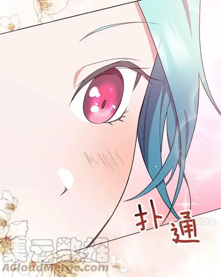 《皇家厨师小姐》53.弗兰兹的身世图37