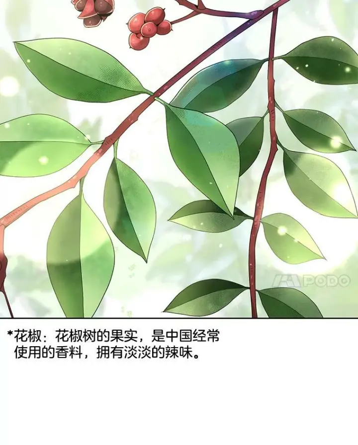 《皇家厨师小姐》57.备考时刻图31