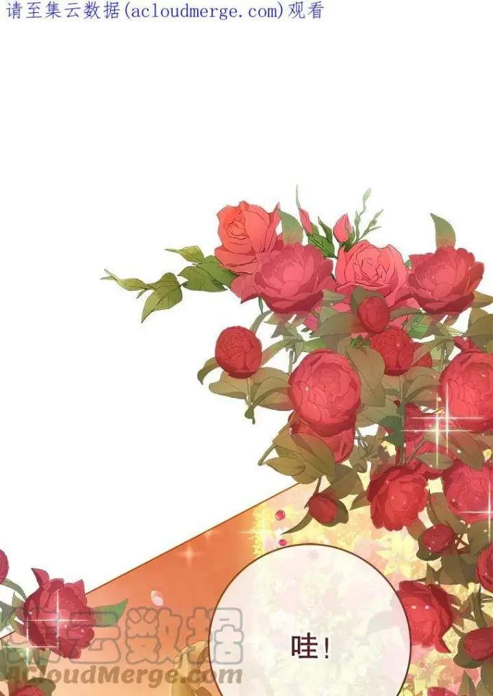 《皇家厨师小姐》64.欢迎回家图123