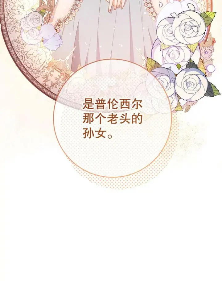 《皇家厨师小姐》66.新朋友图27