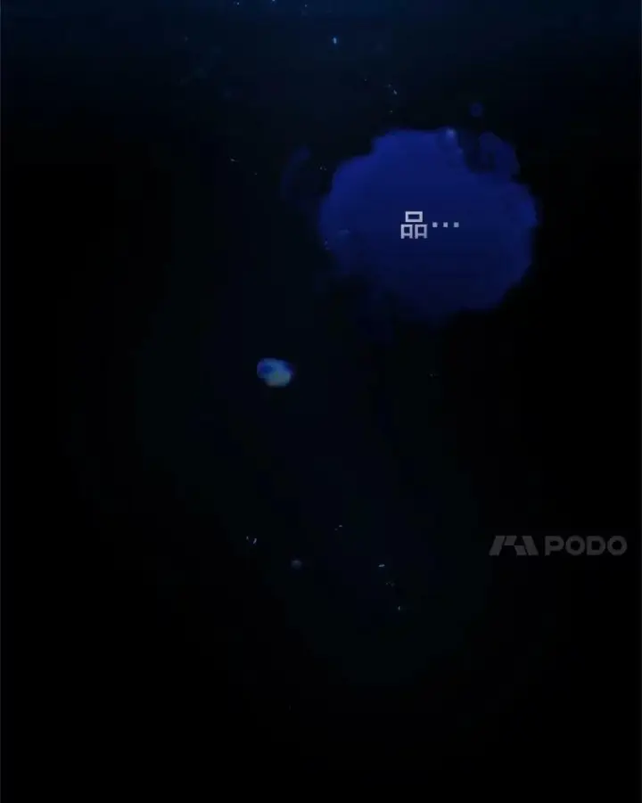 《皇家厨师小姐》69.成为人质图11