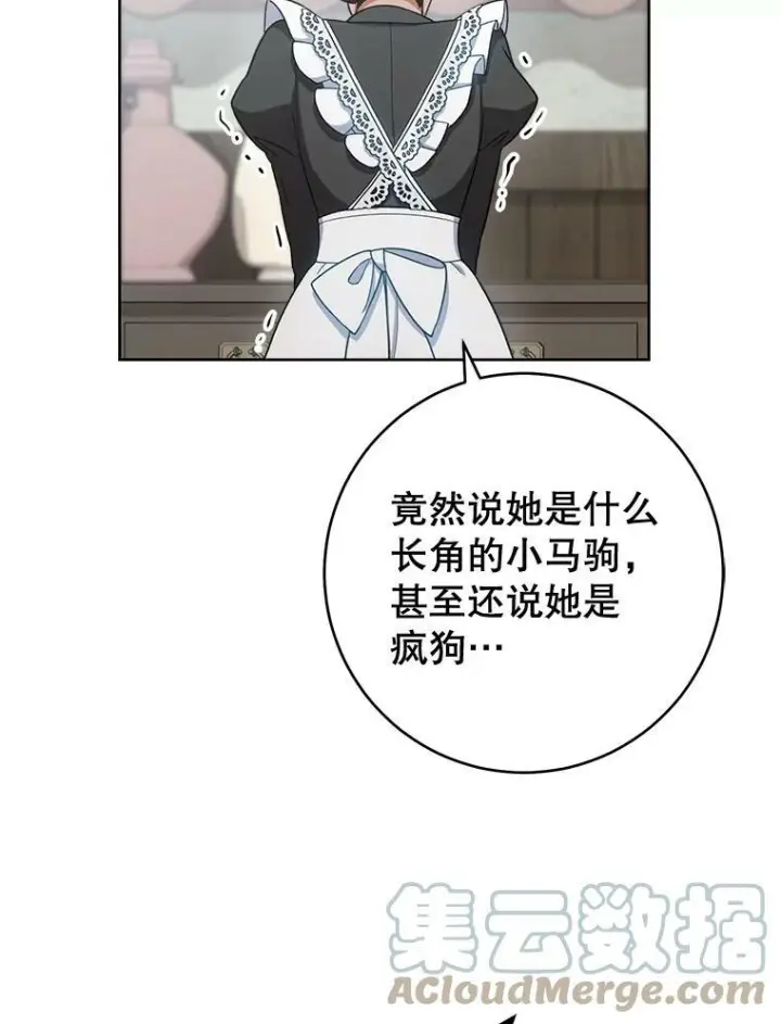 《皇家厨师小姐》71.专属侍女图61