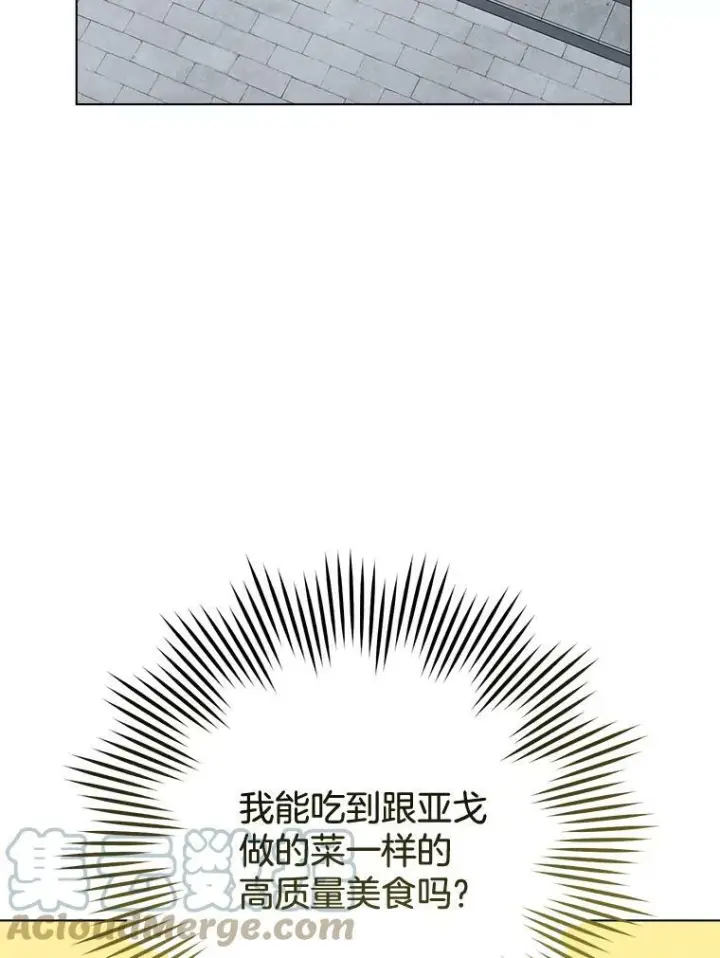 《皇家厨师小姐》74.我不是她图5