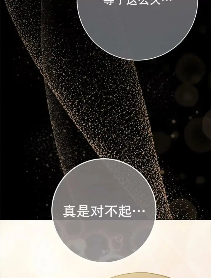 《皇家厨师小姐》76.往事图88