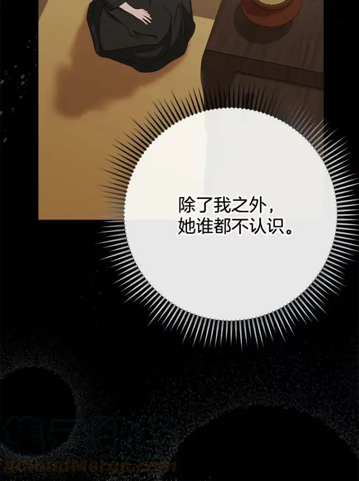 《皇家厨师小姐》76.往事图97