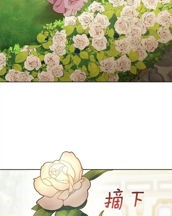 《皇家厨师小姐》81.说媒图78
