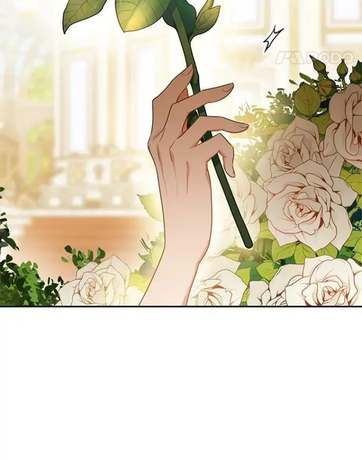 《皇家厨师小姐》81.说媒图79