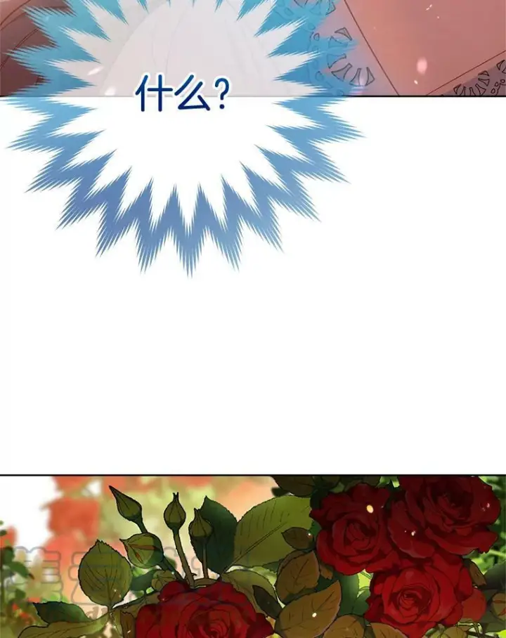 《皇家厨师小姐》81.说媒图97