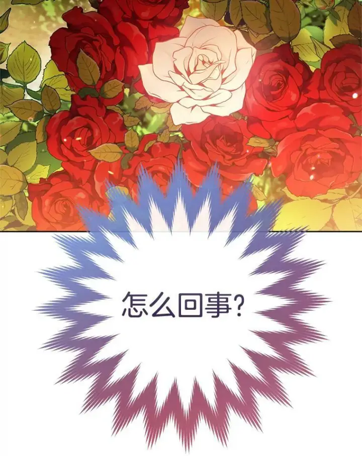 《皇家厨师小姐》81.说媒图98