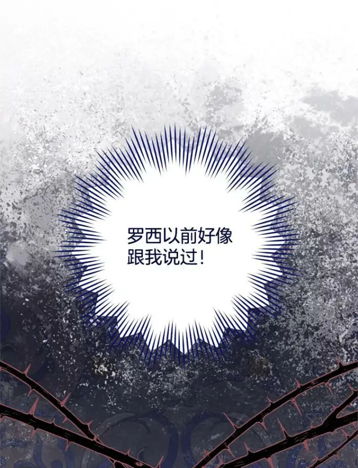 《皇家厨师小姐》86.意外图52