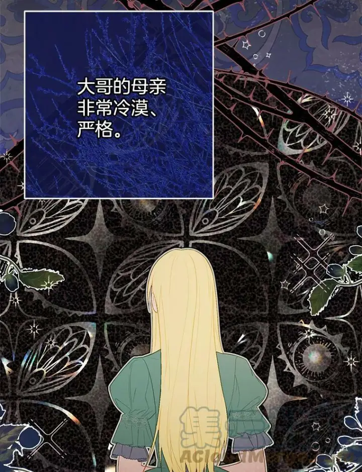 《皇家厨师小姐》86.意外图53