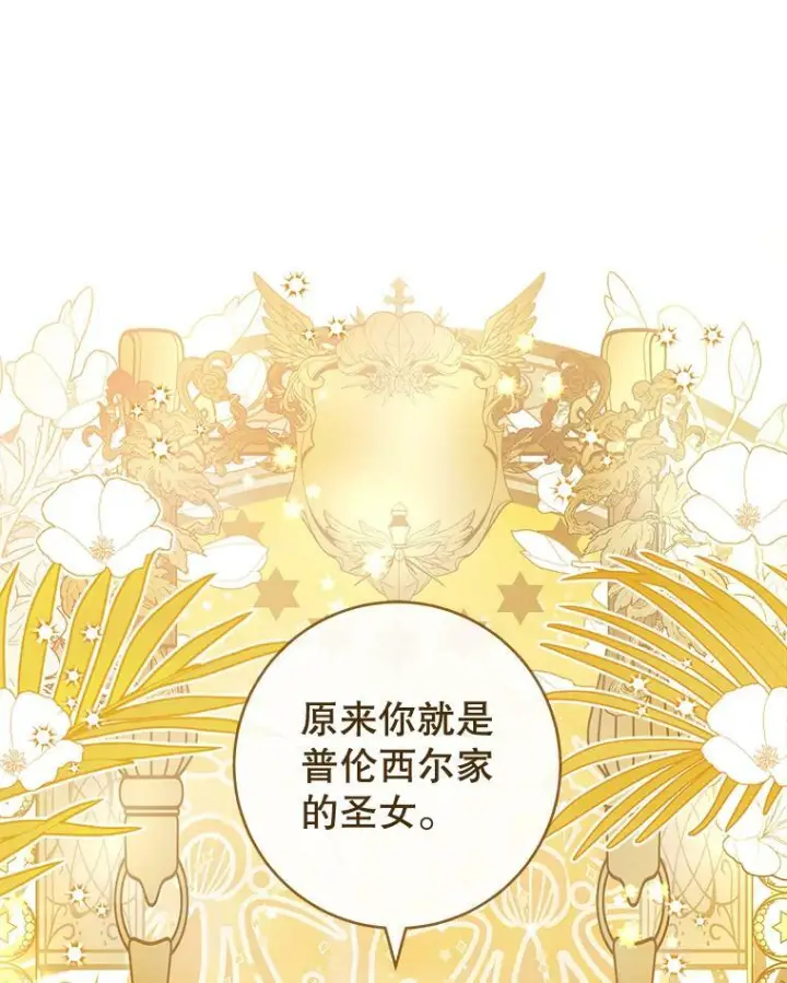 《皇家厨师小姐》87.再访皇宫图99