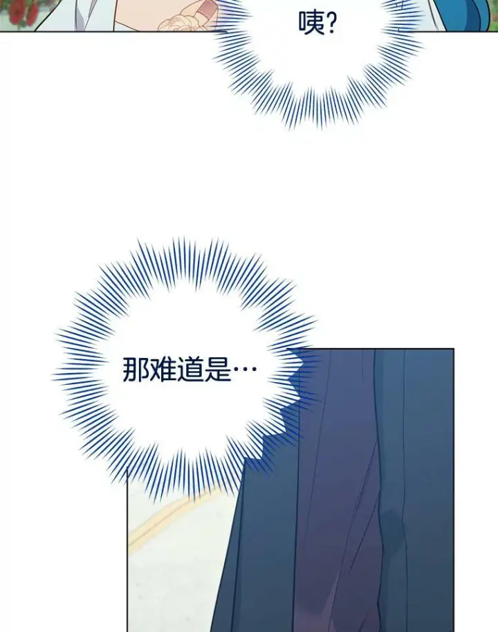 《皇家厨师小姐》88.四皇子图103