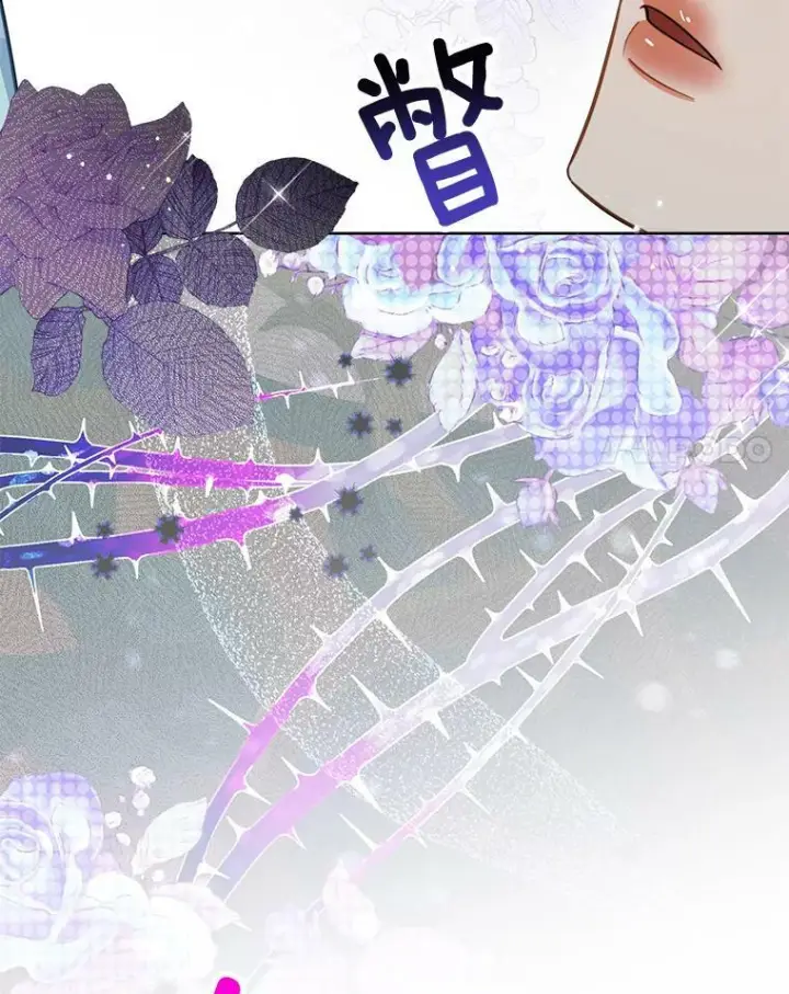 《皇家厨师小姐》88.四皇子图28