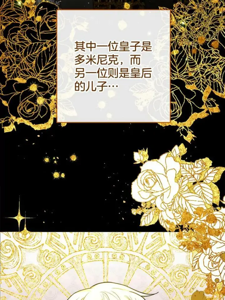 《皇家厨师小姐》88.四皇子图36