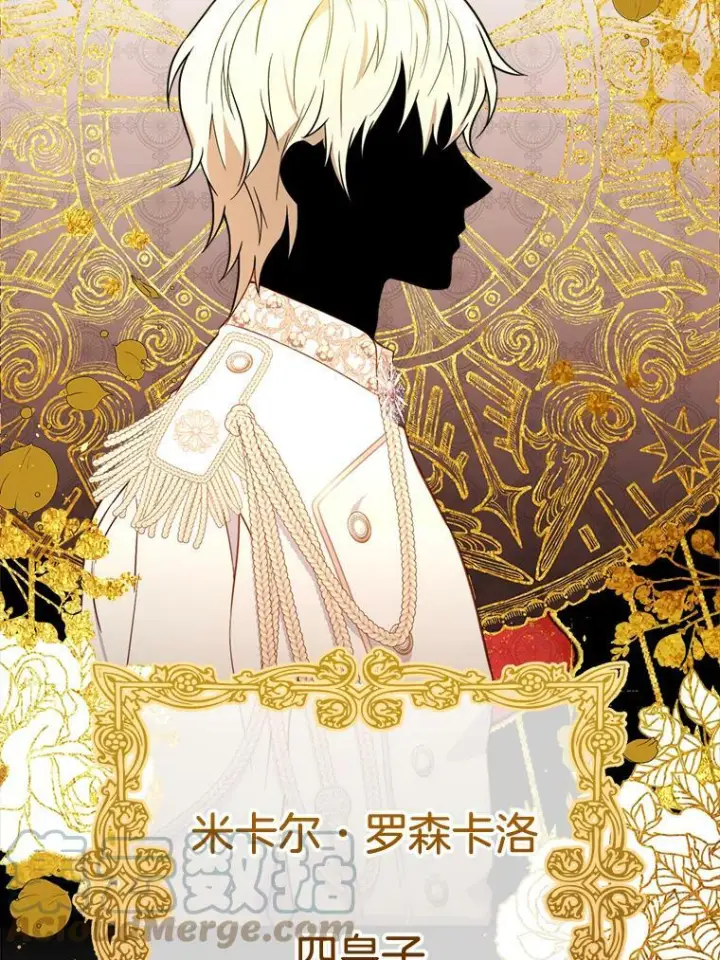 《皇家厨师小姐》88.四皇子图37
