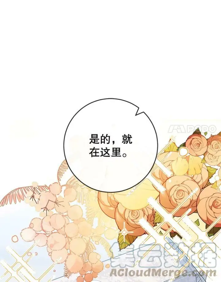 《皇家厨师小姐》91.蛋挞图81