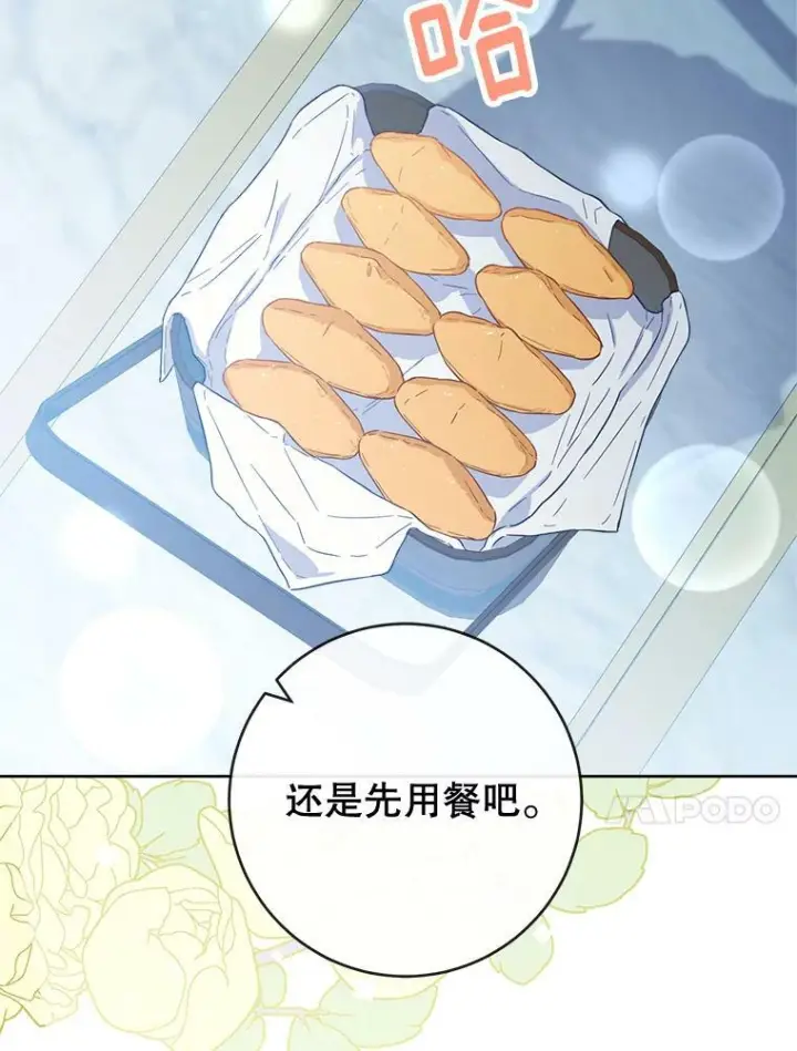 《皇家厨师小姐》93.野餐美食图100