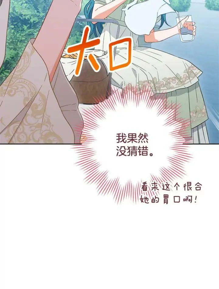《皇家厨师小姐》93.野餐美食图106