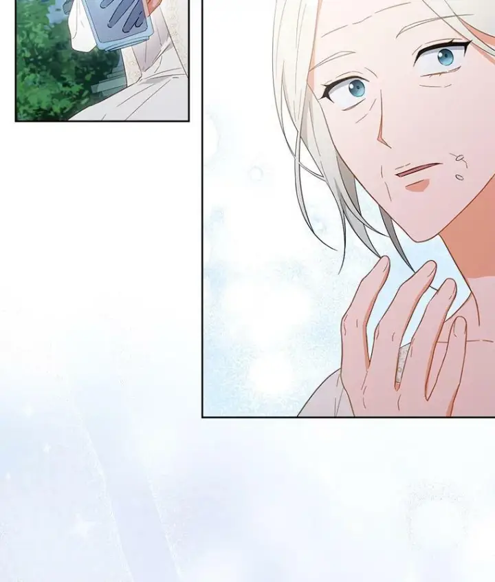 《皇家厨师小姐》93.野餐美食图108