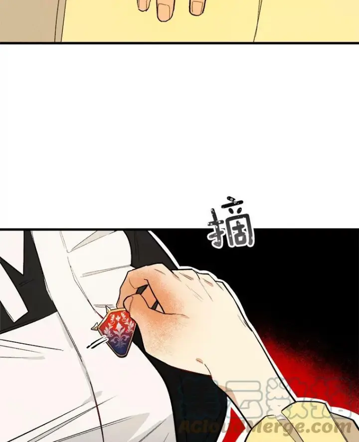 《皇家厨师小姐》3.第一个帮手图40