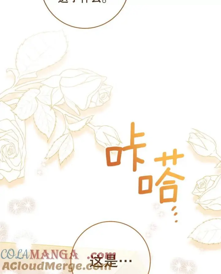 《皇家厨师小姐》139.揭晓身份图17