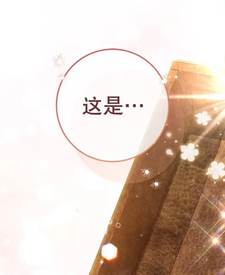《皇家厨师小姐》154.意外来客图145