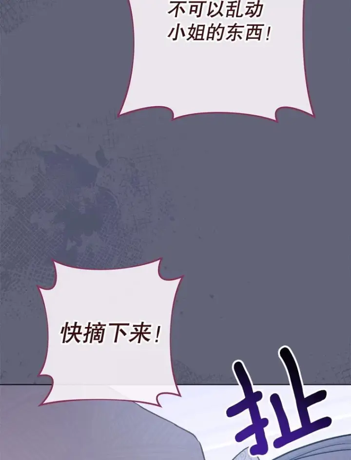 《皇家厨师小姐》155.争宠图146