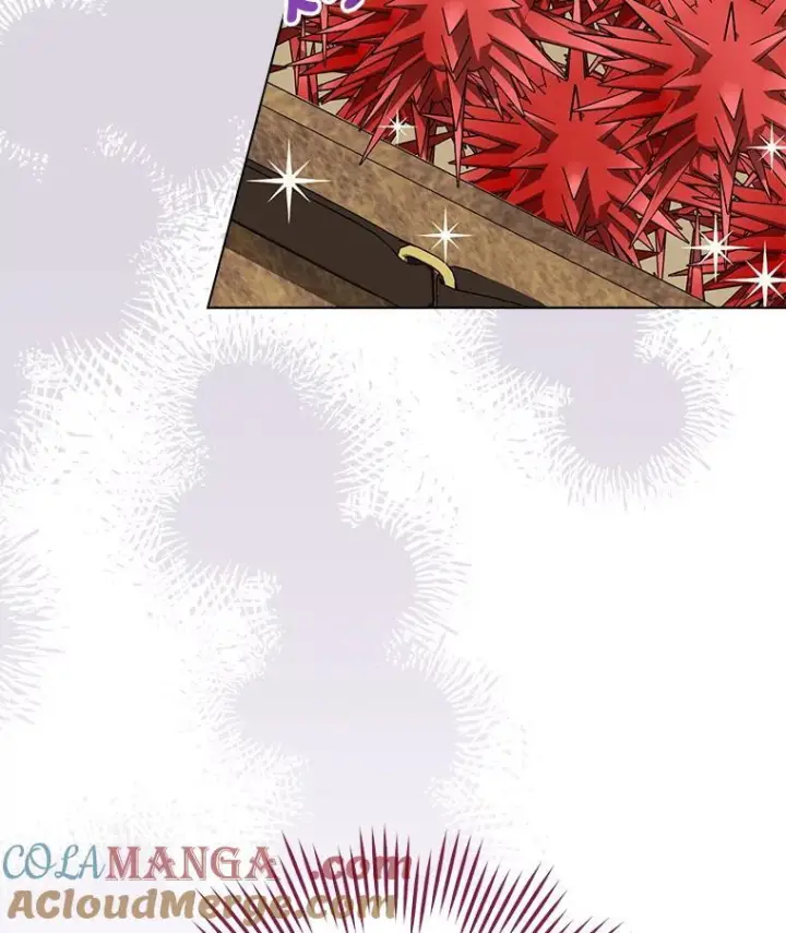 《皇家厨师小姐》155.争宠图9