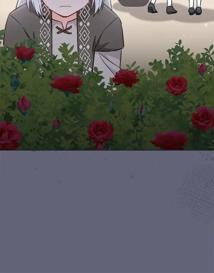 《皇家厨师小姐》156.交换人生图27