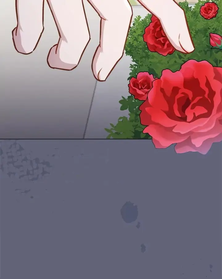 《皇家厨师小姐》156.交换人生图34