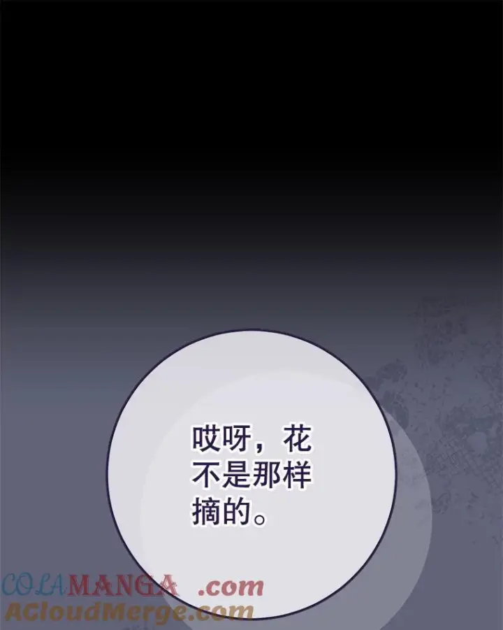 《皇家厨师小姐》156.交换人生图37