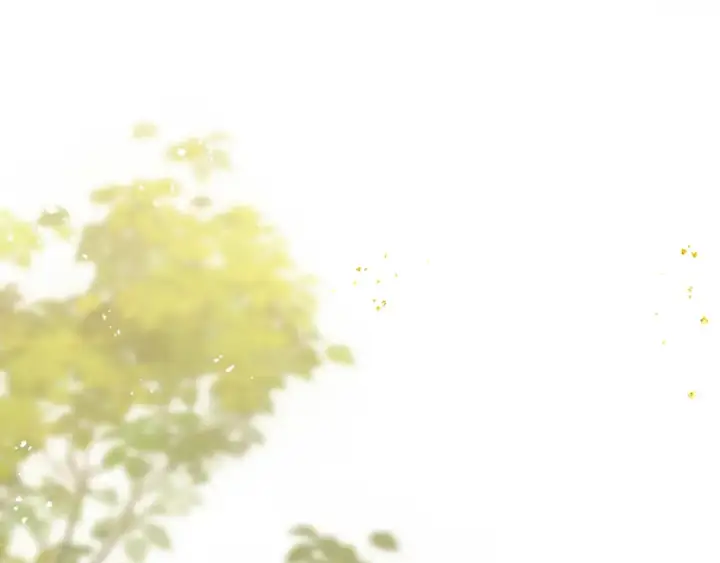 《嫁反派》第65话 今天不许走图89