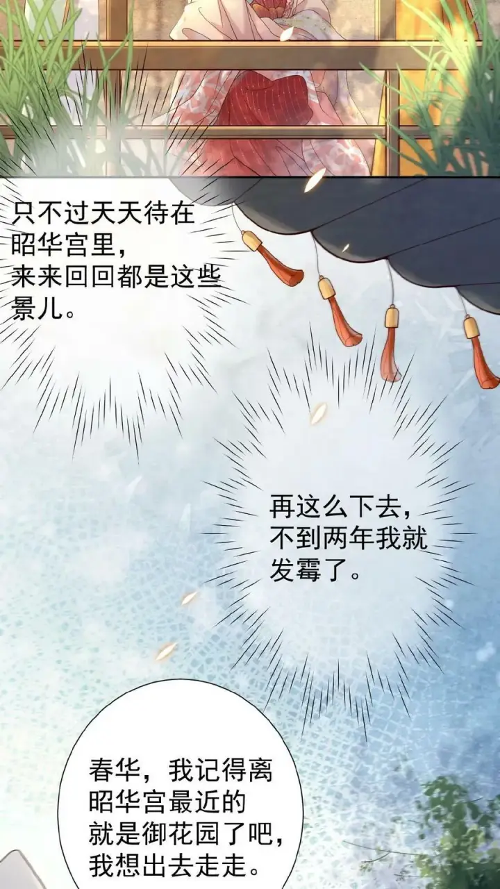 《娇娇贵妃手段高，皇帝不经撩》第3话 梅开三度图8