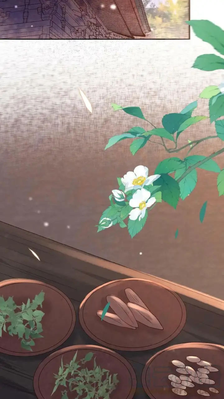 《娇娇贵妃手段高，皇帝不经撩》第14话 避孕小药丸图3