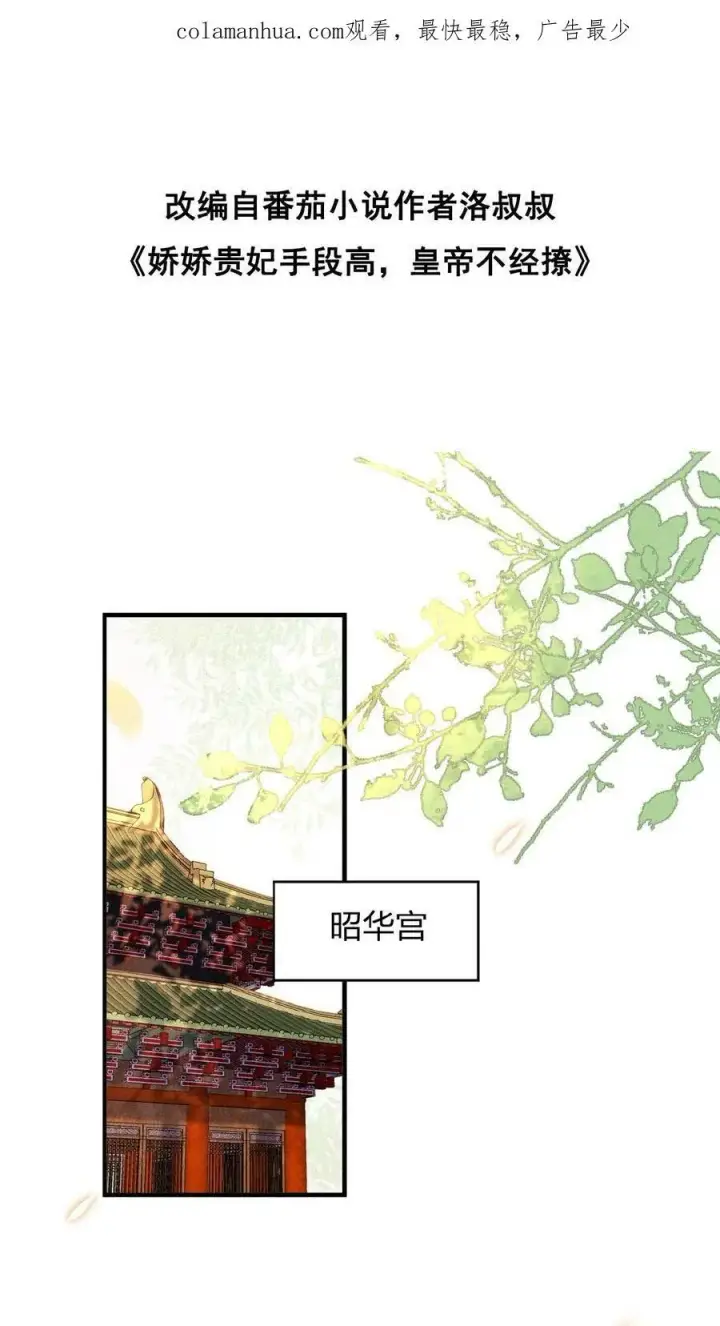 《娇娇贵妃手段高，皇帝不经撩》第29话 昭华宫新成员图2
