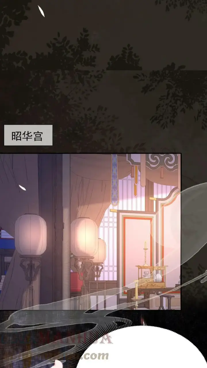 《娇娇贵妃手段高，皇帝不经撩》第49话 头等席吃瓜图29