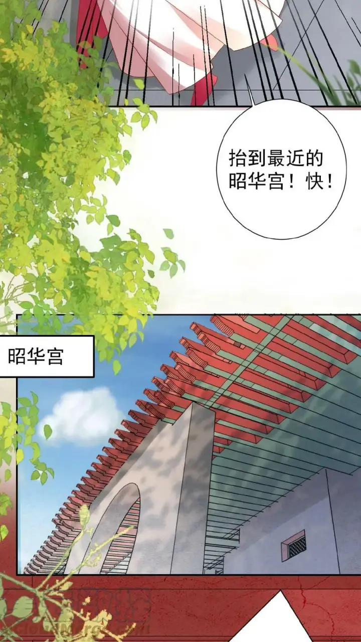 《娇娇贵妃手段高，皇帝不经撩》第57话 小产图27