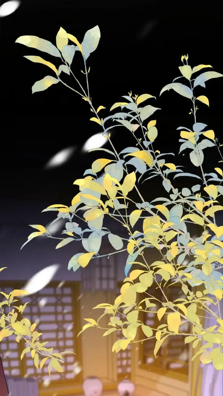 《娇娇贵妃手段高，皇帝不经撩》第125话 鸳鸯锅子图26