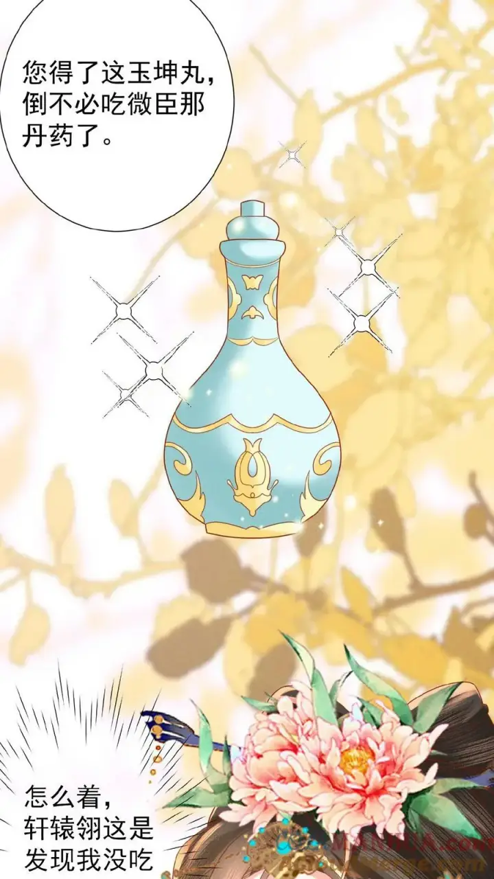 《娇娇贵妃手段高，皇帝不经撩》第143话 玉坤丸图17