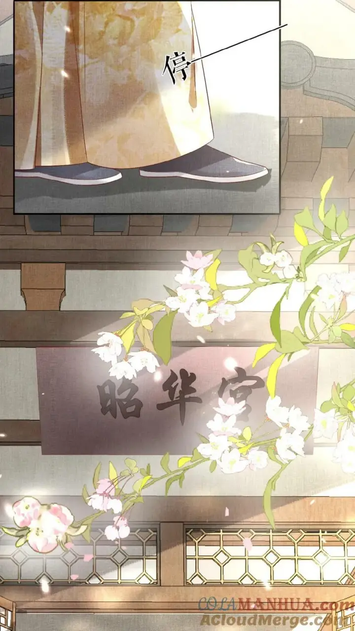 《娇娇贵妃手段高，皇帝不经撩》第146话 可笑的母子情图23