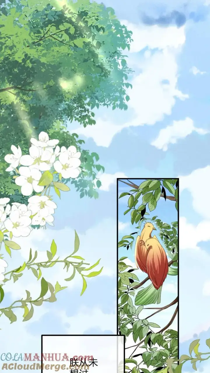《娇娇贵妃手段高，皇帝不经撩》第214话 桃花最有情图17